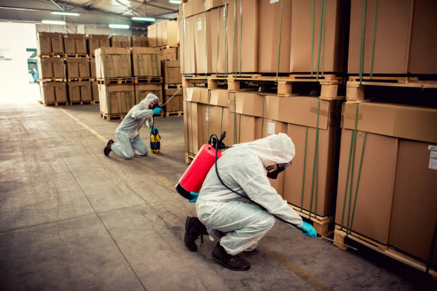 Best Affordable Pest Control Services  in Glenwood City, WI