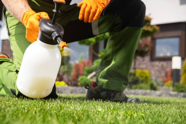 Best Local Pest Control Services  in Glenwood City, WI