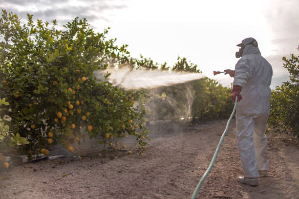 Wildlife Control Services in Glenwood City, WI