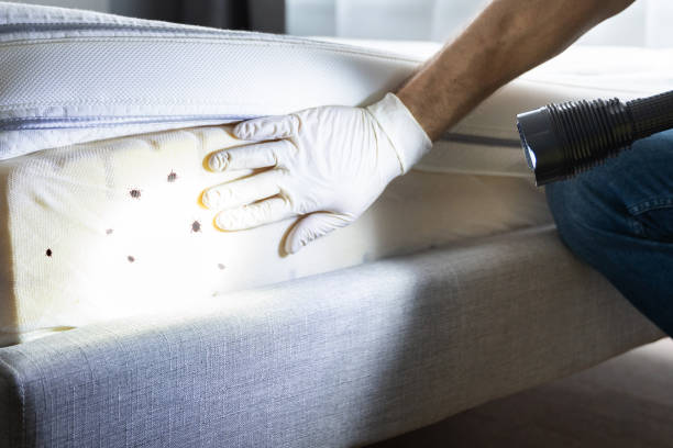 Best Pest Prevention Services  in Glenwood City, WI