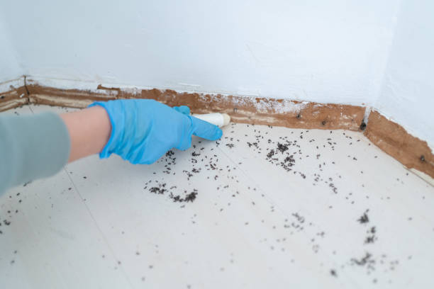 Best Commercial Pest Control Services  in Glenwood City, WI