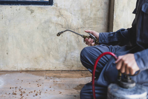Professional Pest Control in Glenwood City, WI